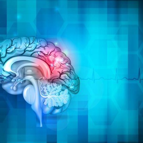 Illustration of human brain on blue background