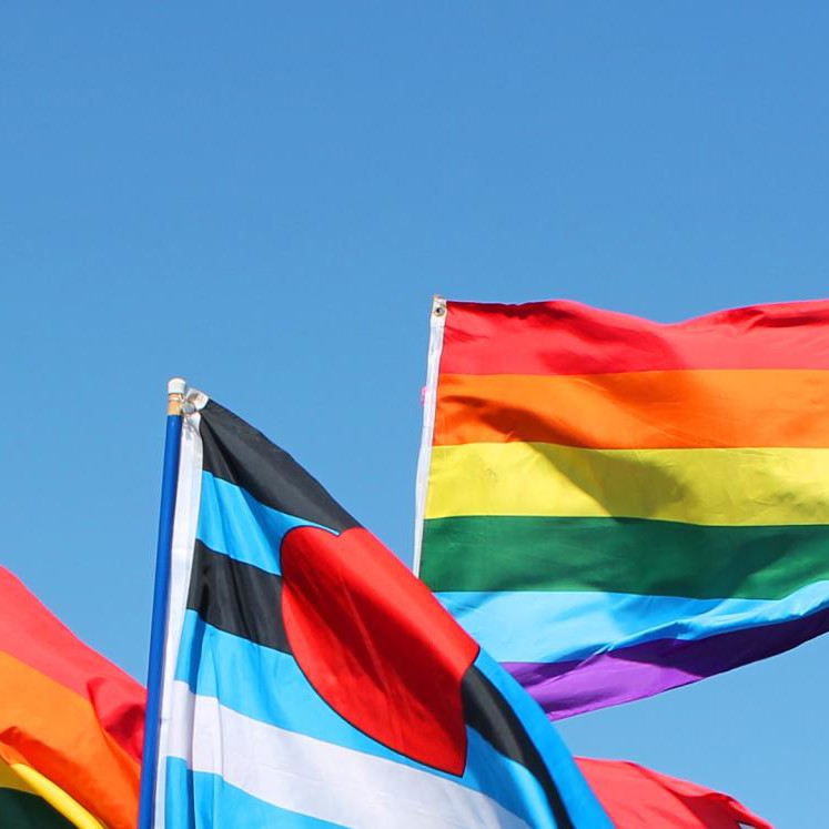 Colourful flags of diversity