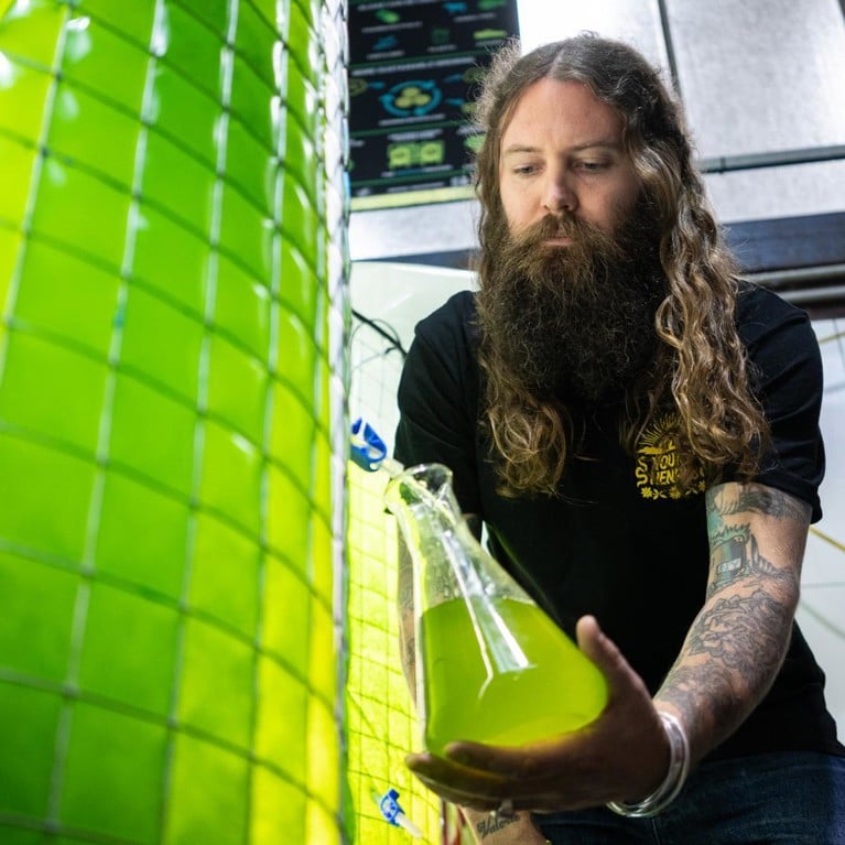 Young Henrys Algae Beer