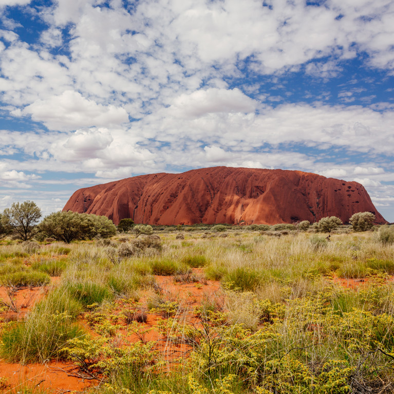 Australia, Sept 22, 2016: Springtime in Uluru, Northern Territory. Picture: ronnybas/Adobe Stock