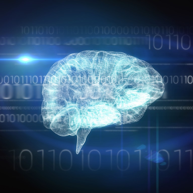 Computer generated brain