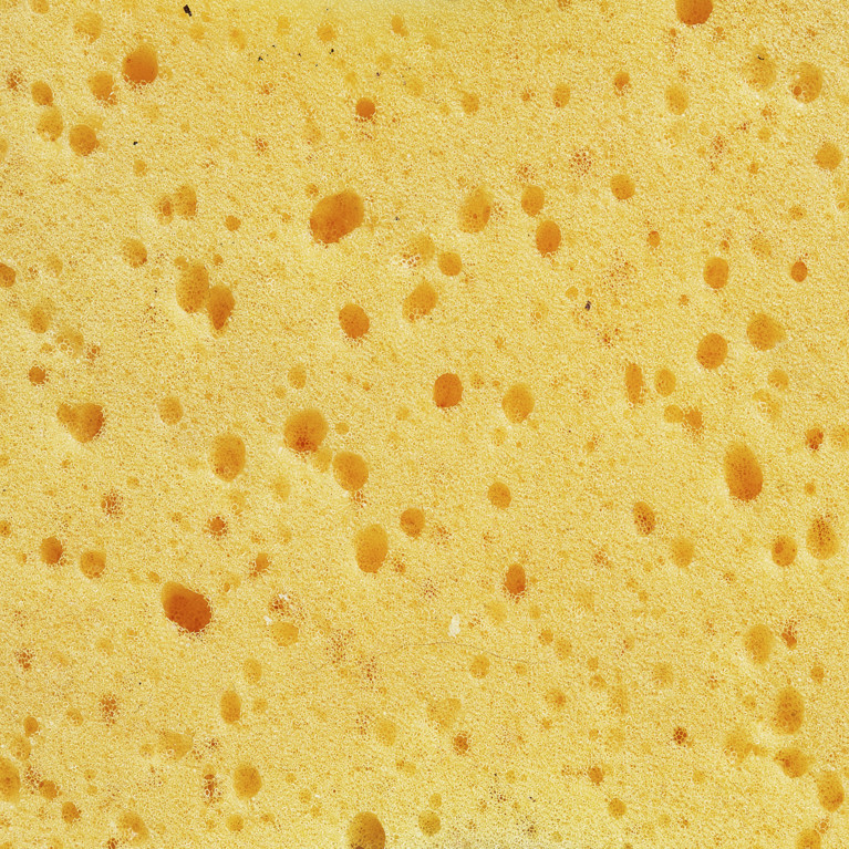sponge texture image
By Krakenimages.com Adobe Stock