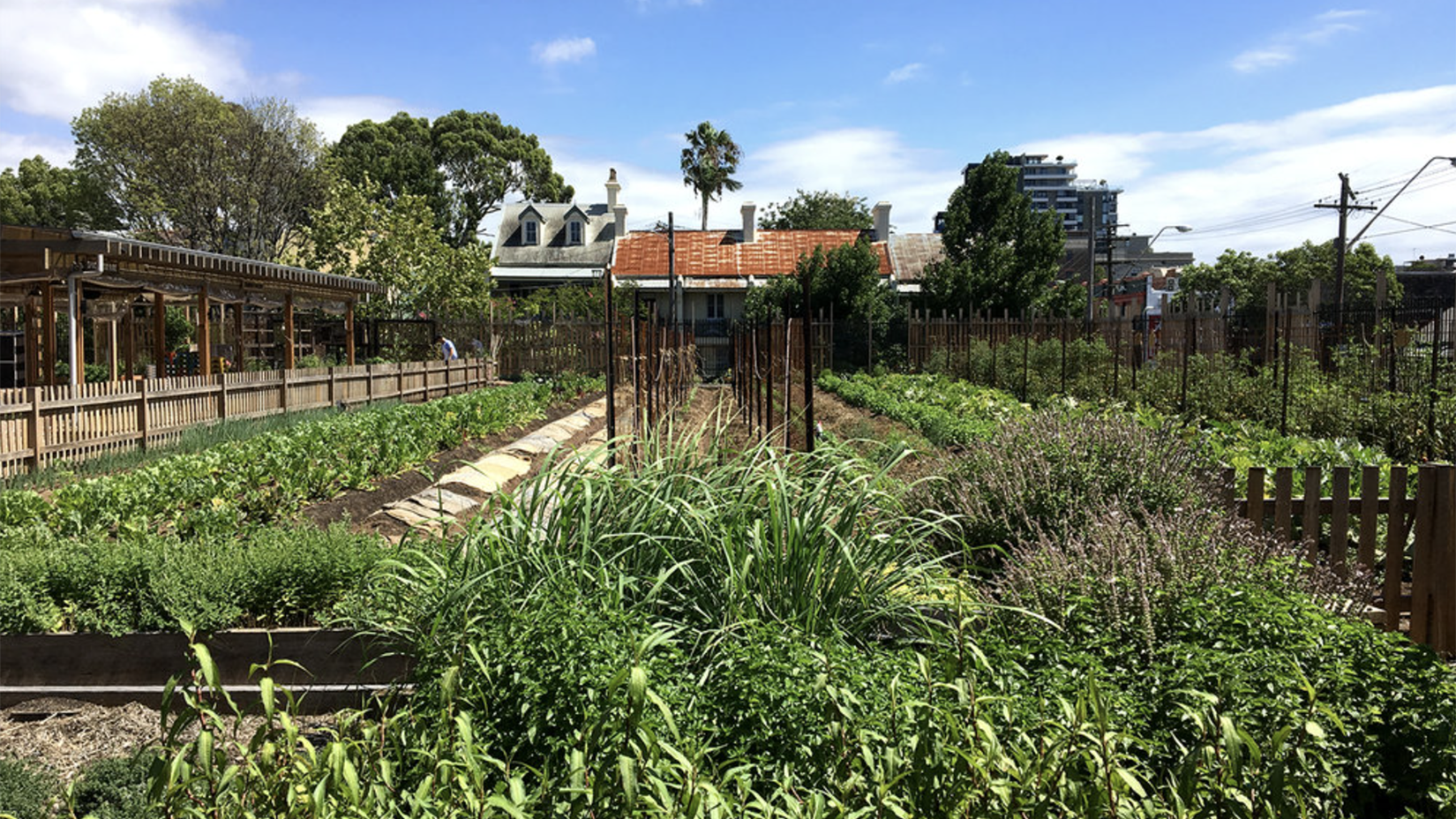 Pocket City Farms, an urban farm and community