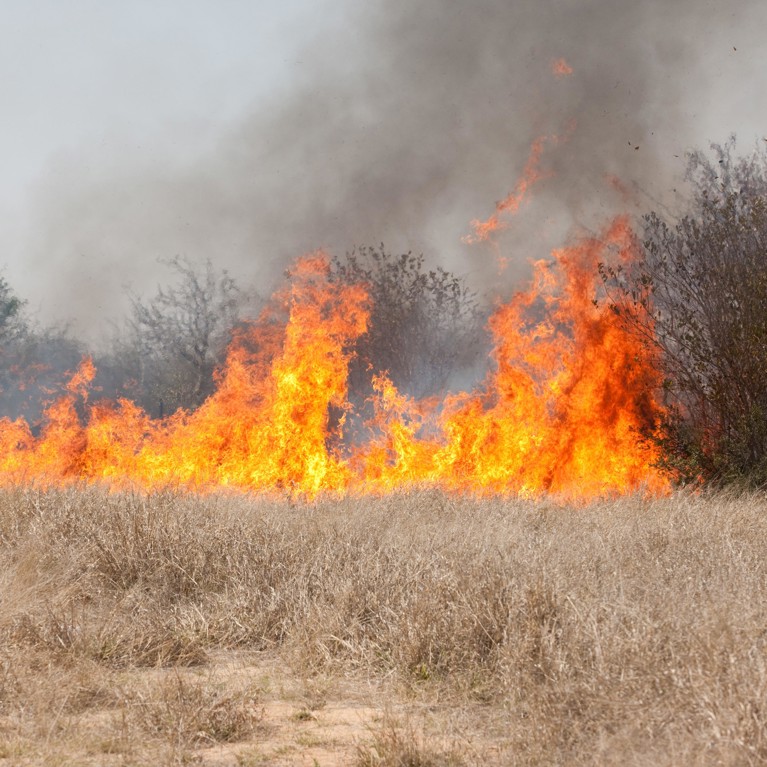 Bushfire