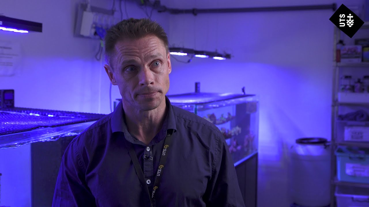 Professor David Suggett