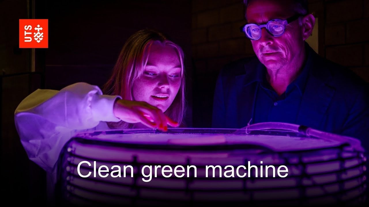 Researchers look down into an algae bioreactor.