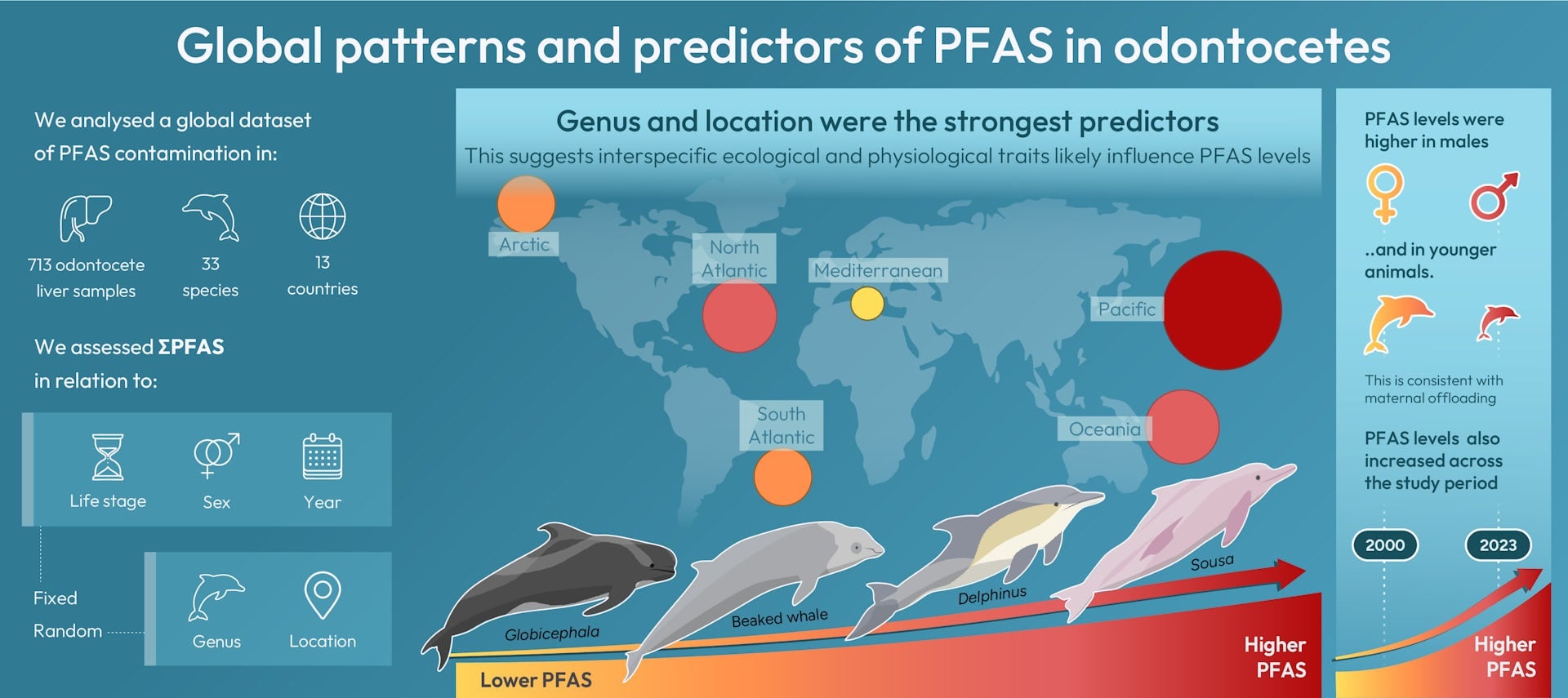 Infographic showing the main findings of the study. CC BY 4.0
