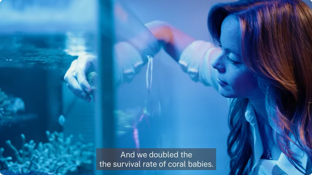 Jen Matthews looking at coral