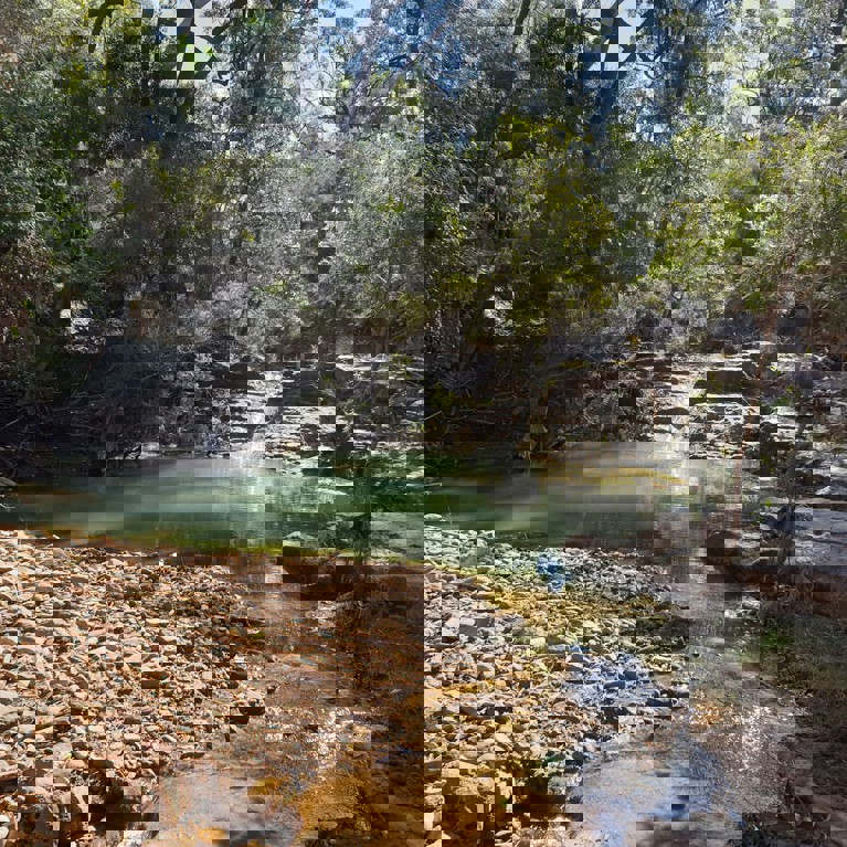 A rock pool in a forest setting. Picture: Clint Hansen, CC BY-ND