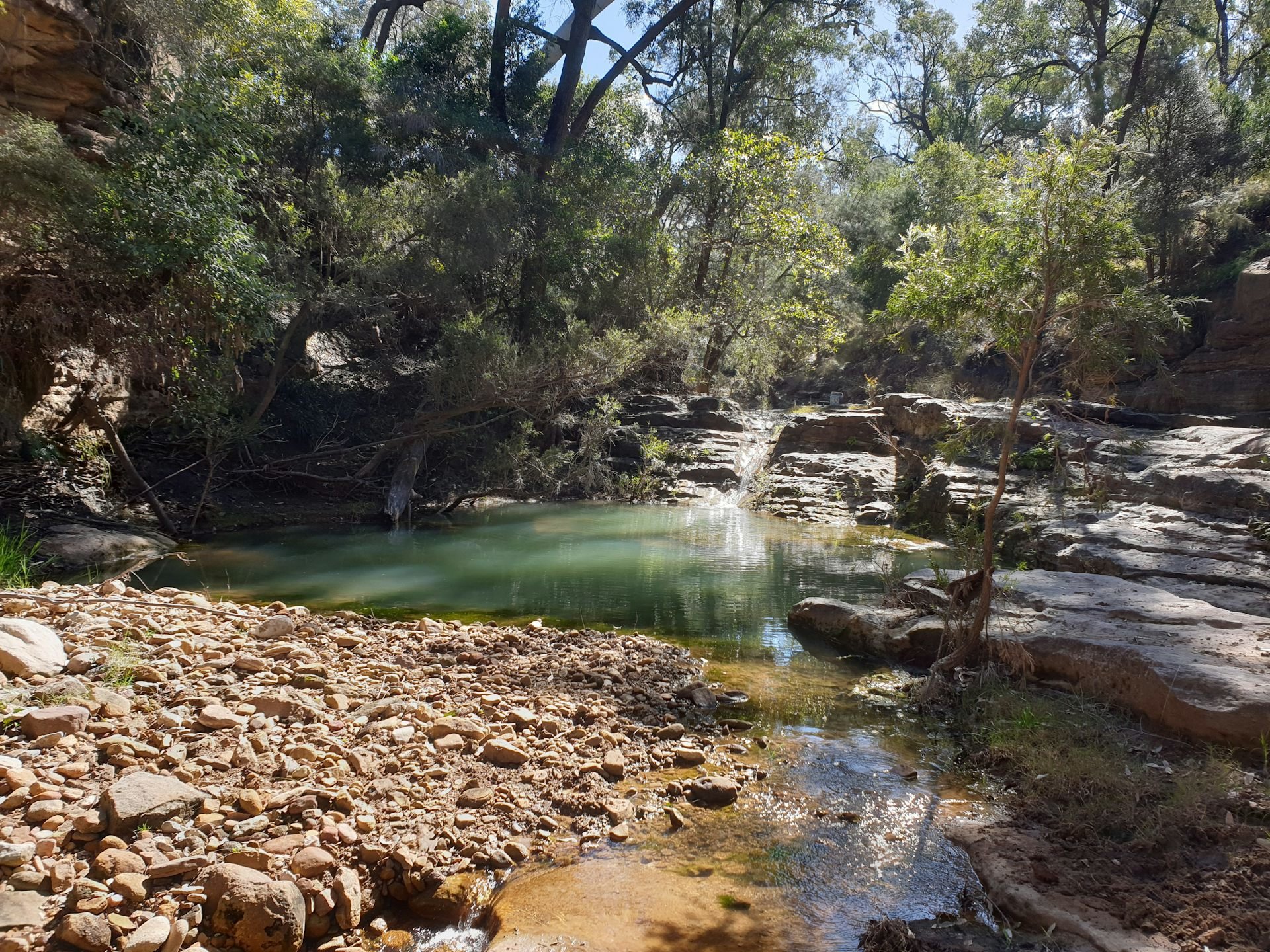 A rock pool in a forest setting. Picture: Clint Hansen, CC BY-ND
