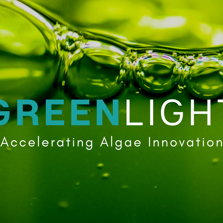 Green Light in capital letters over a green bubbling liquid