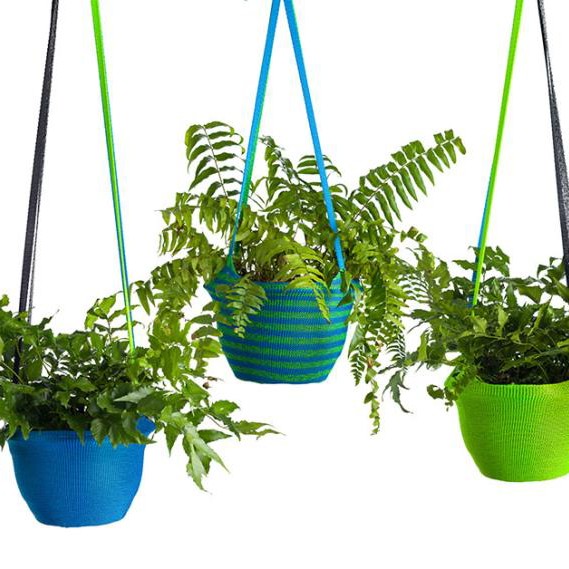 Plants