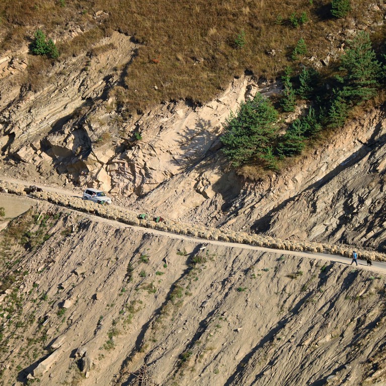 Traffic along a road blocked by sheep being moved along a road