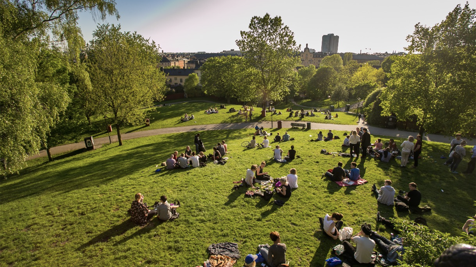 Groups of people relaxing in a sunny park