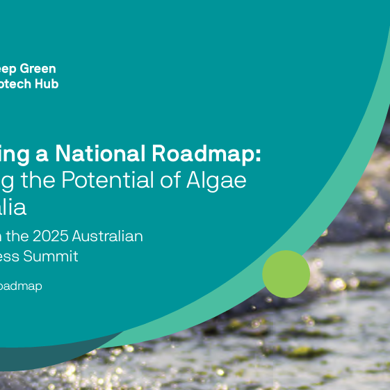 The front cover of the Roadmap, with the the white text: Developing a National Roadmap: Unlocking the Potential of Algae in Australia over a blue circle, with a photo of the ocean and green seaweed behind the circle.