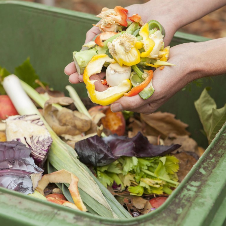 Garbage bin filled with food waste and someone picking up a handful
