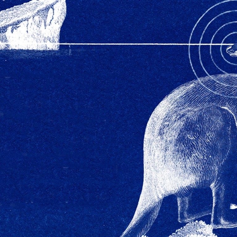 Stylised image of kangaroo and iceberg on blue background