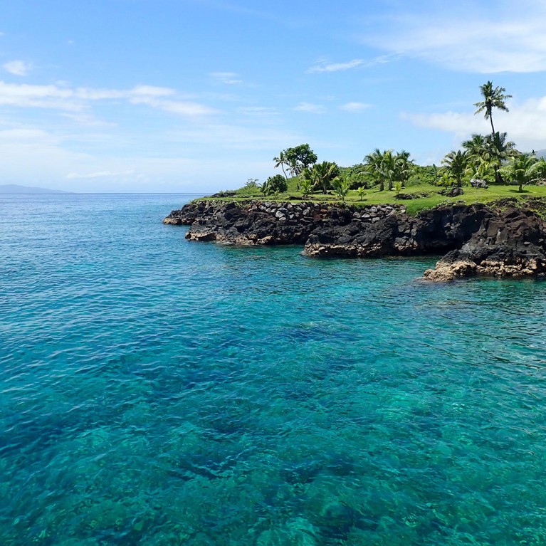 Fiji island