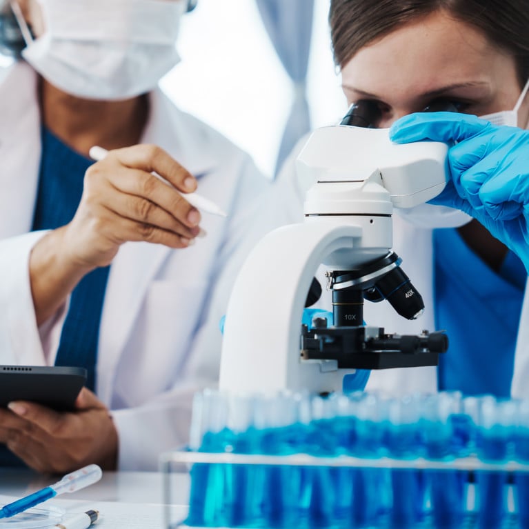 Health care researchers working in life science laboratory, teaching in labs. Picture: Phushutter/Adobe Stock