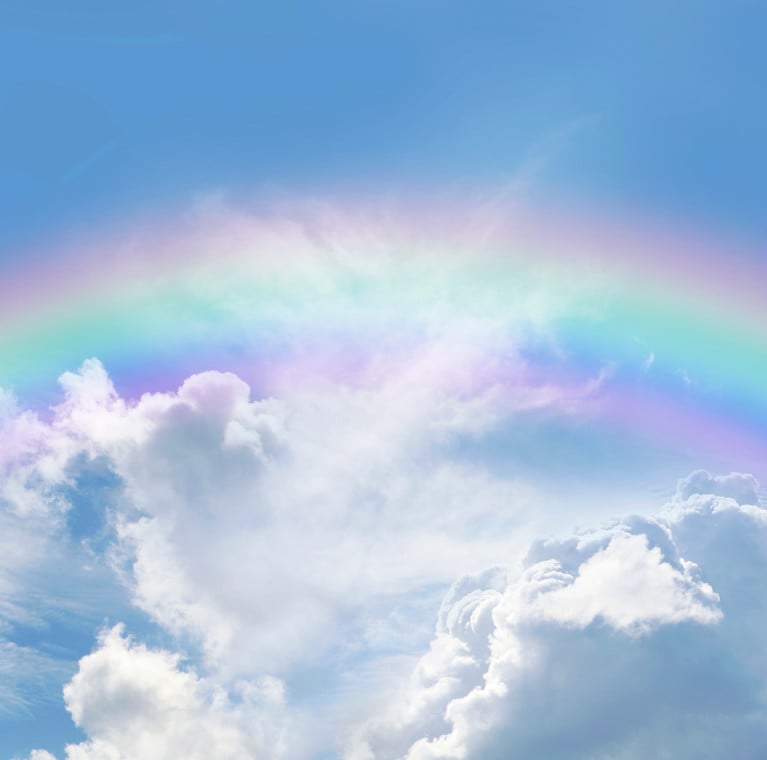 By Nikki Zalewski / Adobe Stock