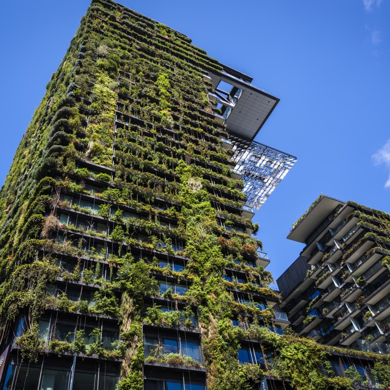 Building with greenery growing on the outside walls