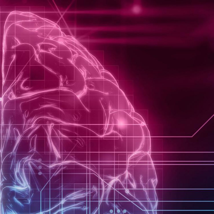 3D rendering of human brain on technology background