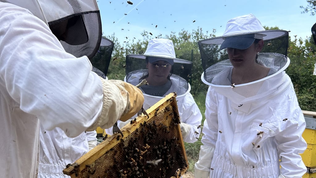 Students in beekeeping suits working on beehives.