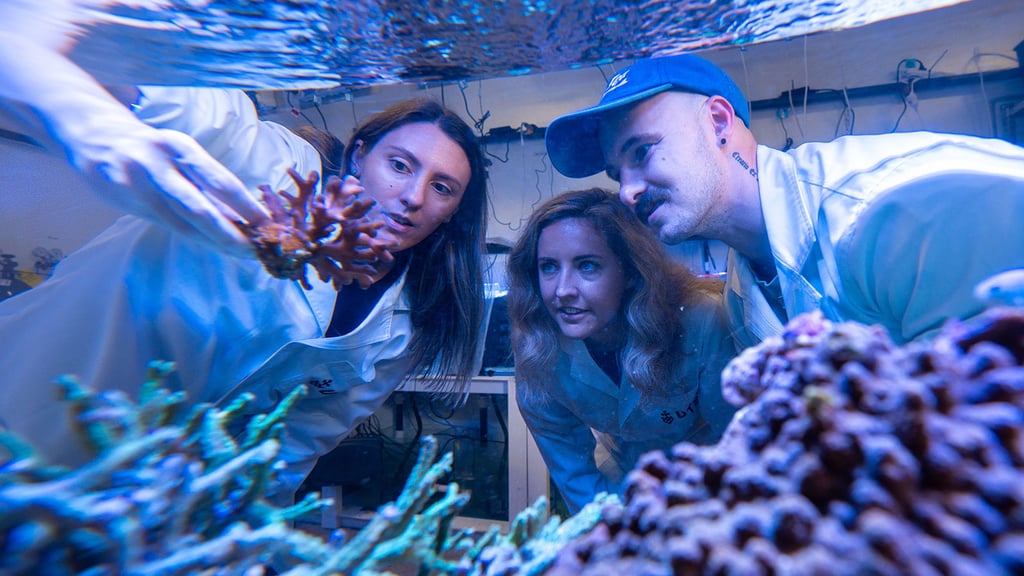 coral research