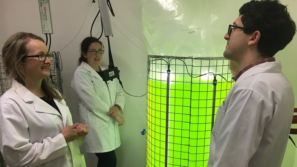 Three academics from the University of Technology Sydney Climate Change Cluster standing in a lab
