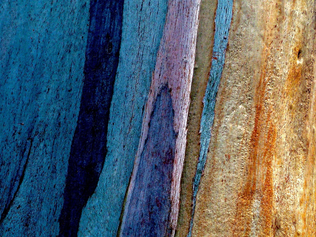 Abstract pattern