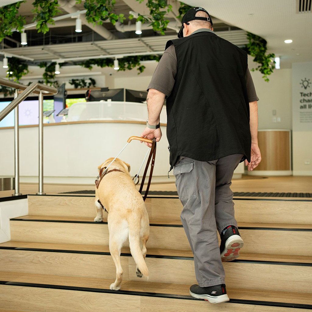 A man uses a guide dog to navigate up stairs.