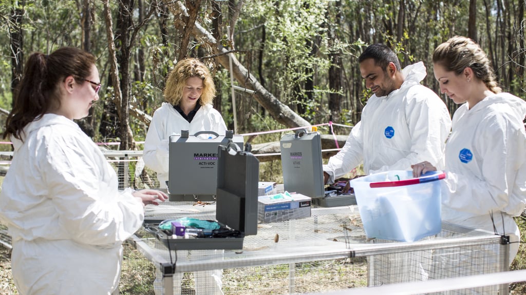 A group of researchers wearing white overalls work outdoors.