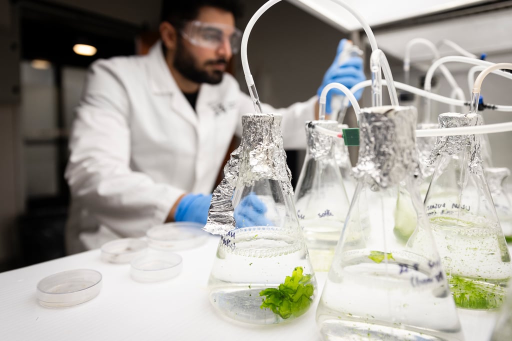 students in lab