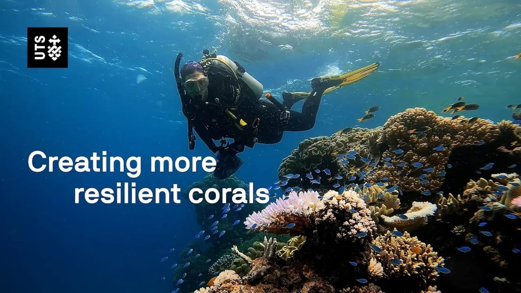 Video still of Dr Emma Camp scuba diving in the Great Barrier Reef.