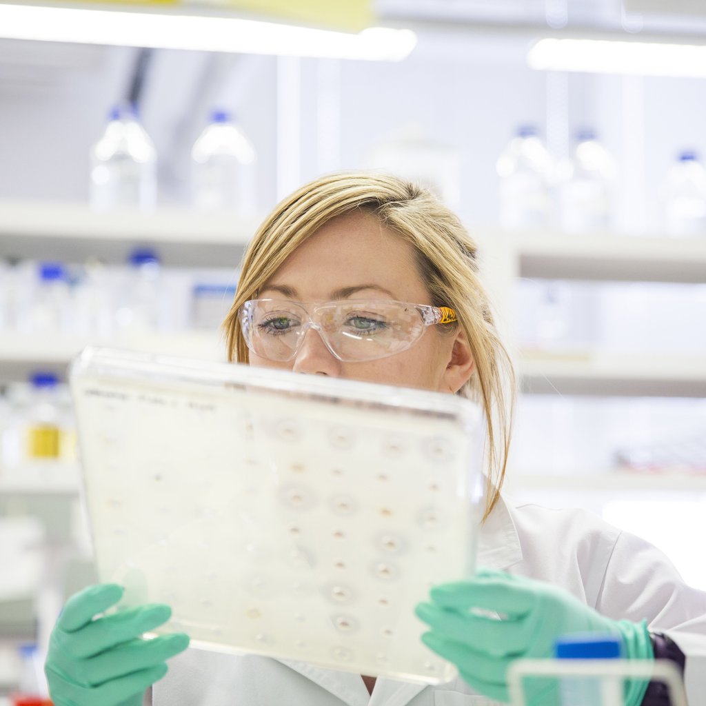 medical laboratory