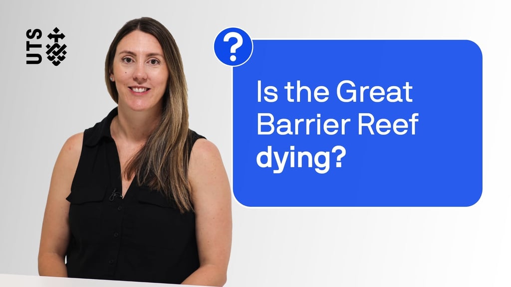 Curiosities with Dr Emma Camp video thumbnail