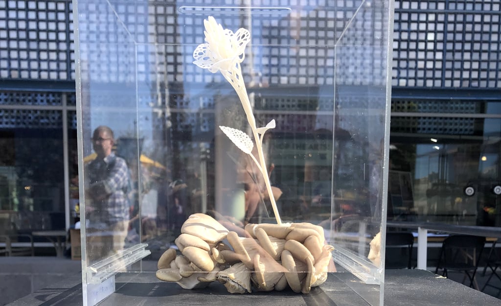 Organic matter in a glass box.