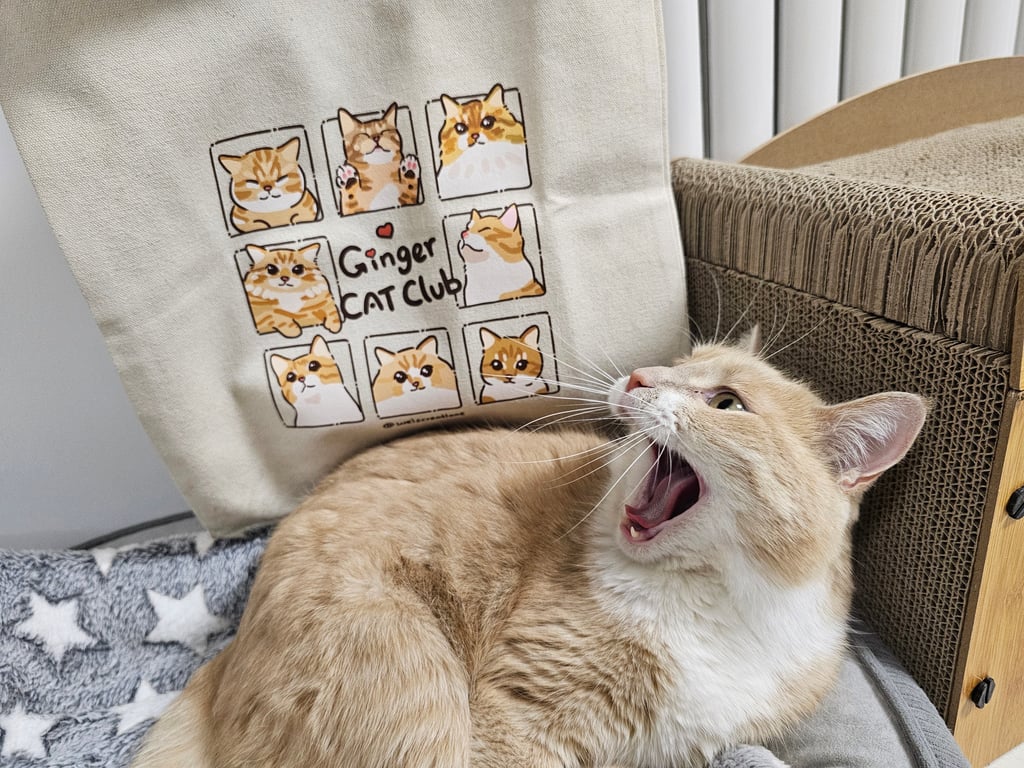 A ginger cat lying next to a tote bag with one of Yuqing Wei’s illustrations that reads "Ginger Cat Club".