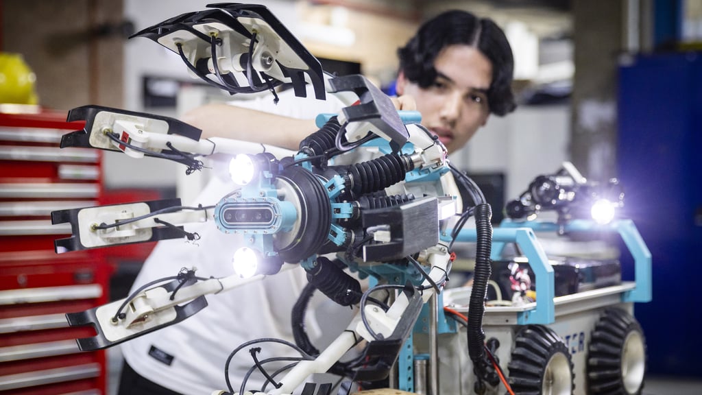 An intelligent robot in action