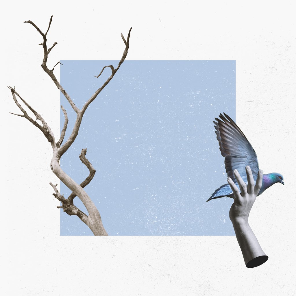 Art collage of hand holding pigeon