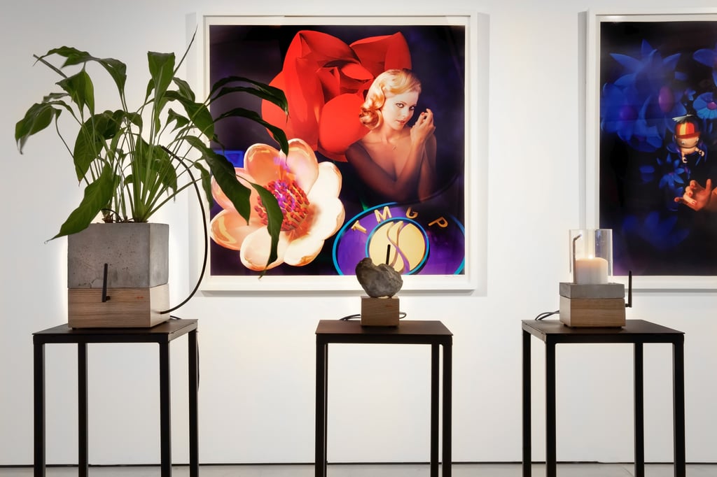 Installation in gallery