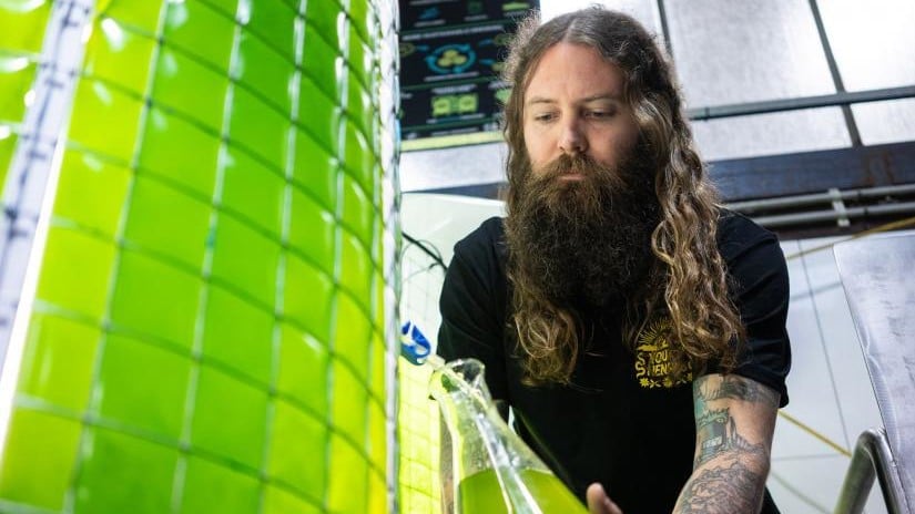 Young Henry's employee with algae