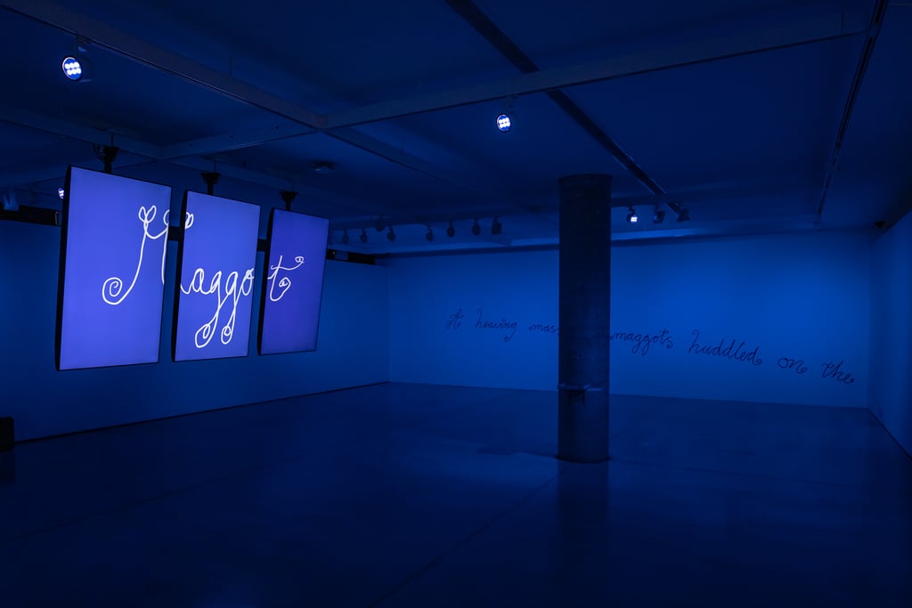 Maggot exhibition