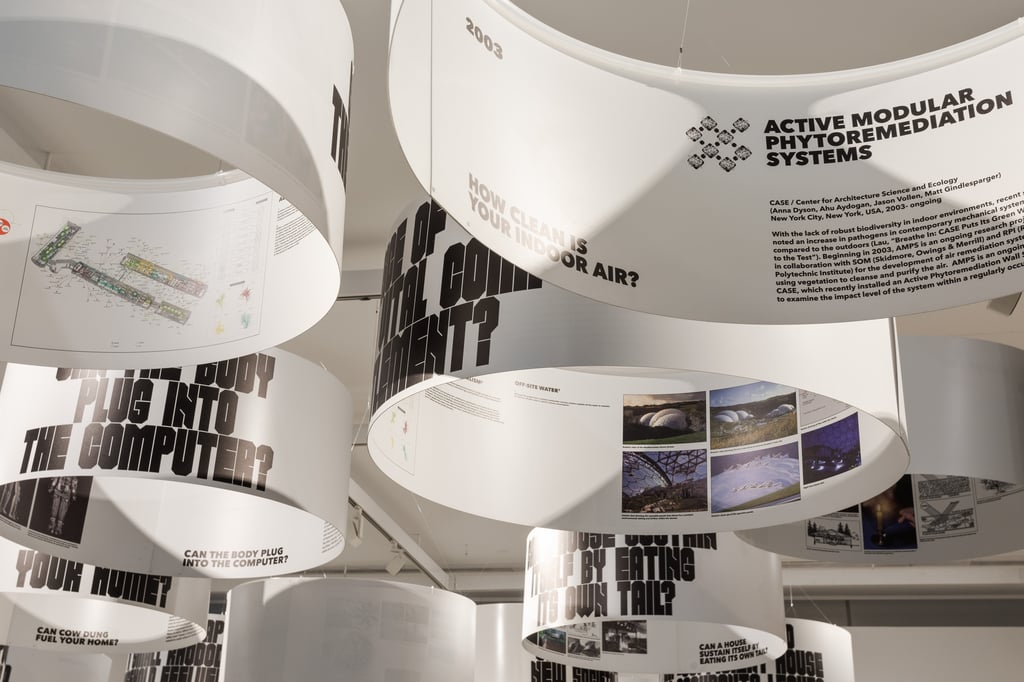 Installation in gallery