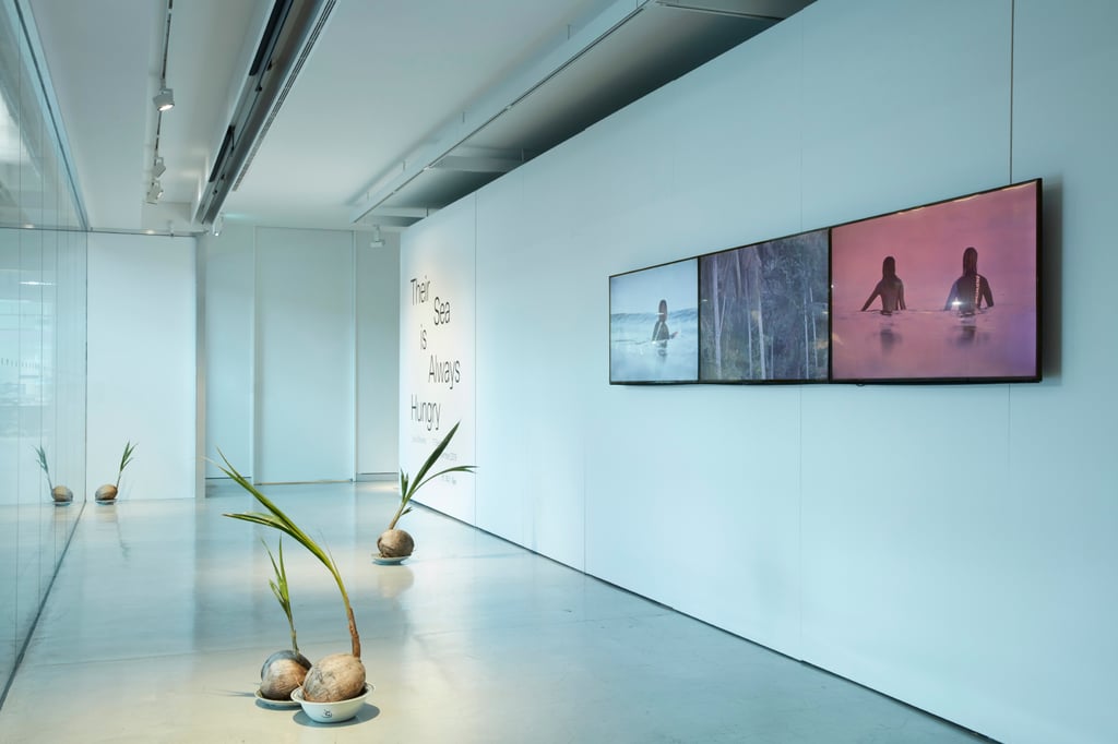 Installation in gallery