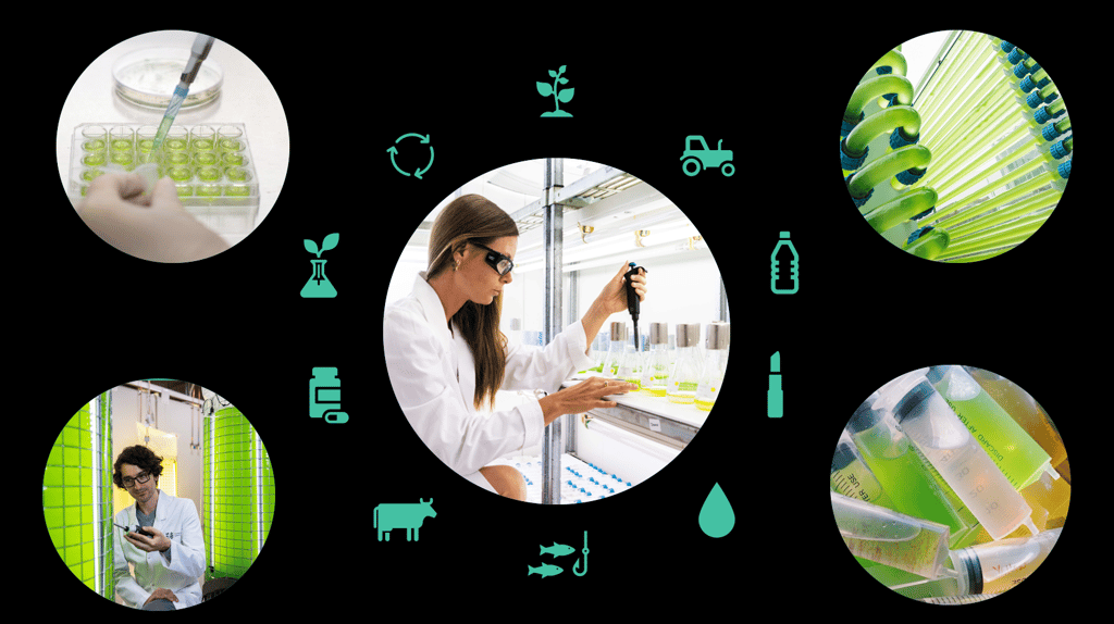 Collage of laboratory and biotechnology images showing researchers working with green liquid samples, algae cultivation tubes and scientific testing equipment. Sustainability-themed icons, including plants, recycling, agriculture, water and packaging, surround the images on a black background.
