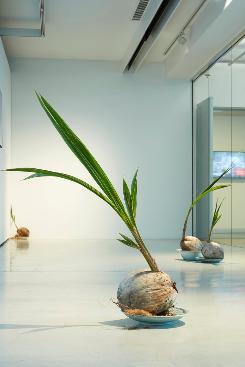 Installation in gallery