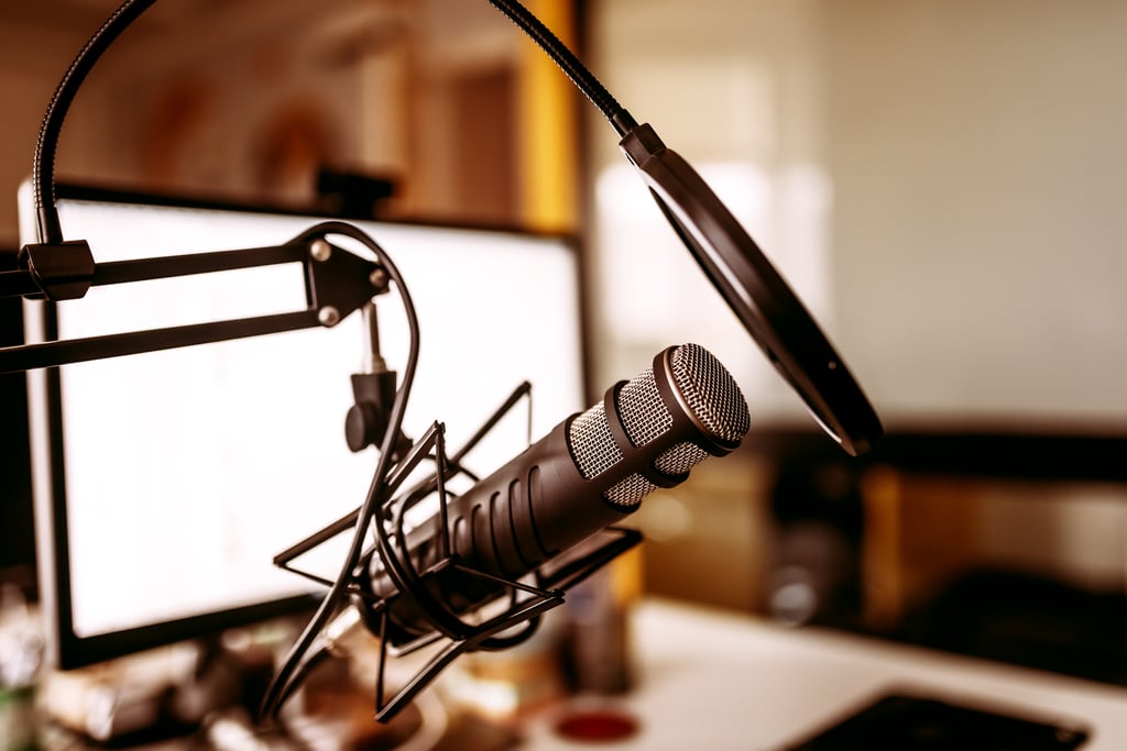 Microphone on stand. Music recording concept.