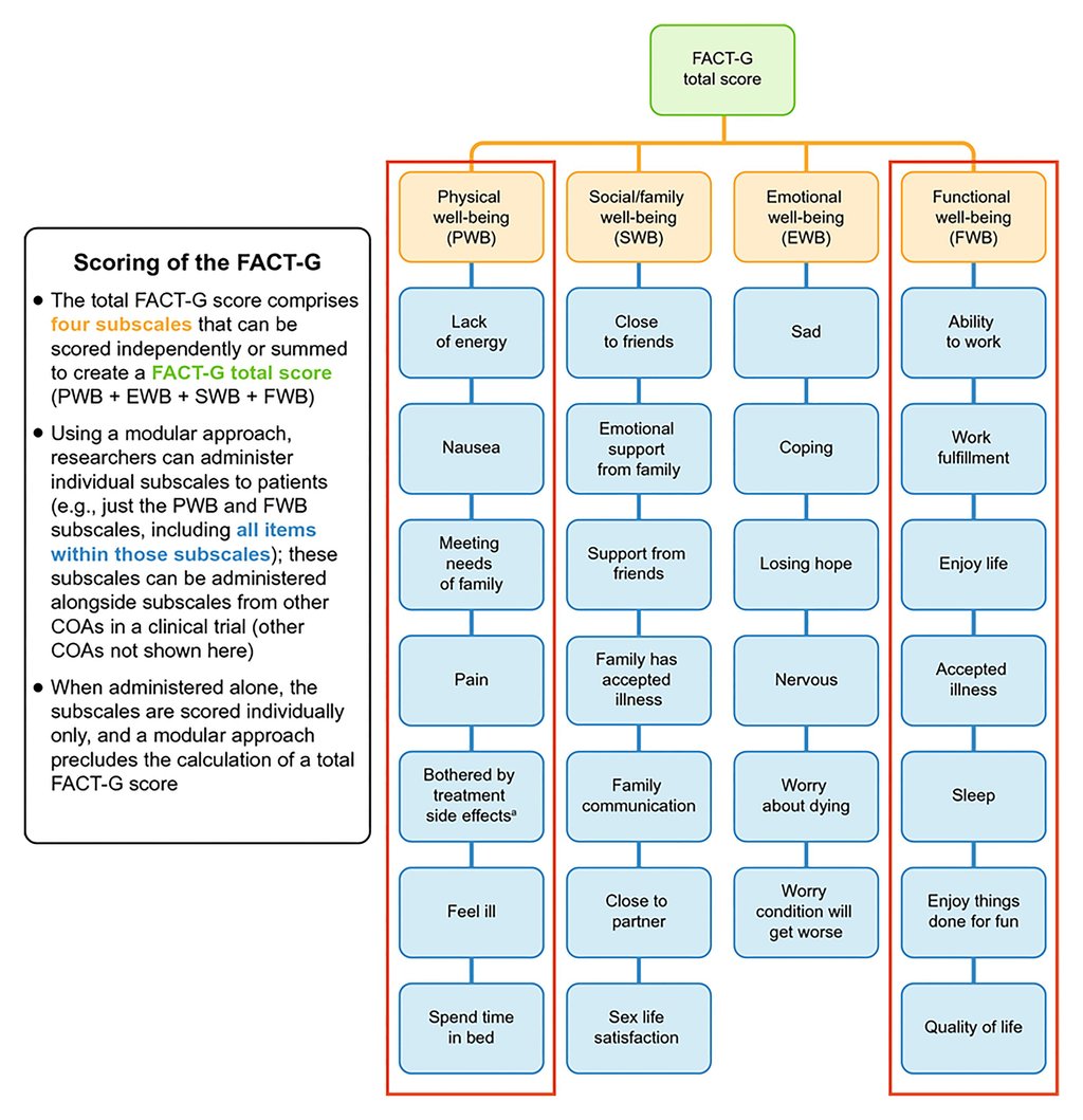 FACT-G diagram with two of the four subscales, physical and functional well-being highlighted to show a modular approach