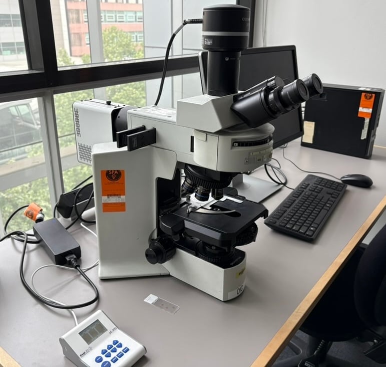 Olympus BX51 DIC